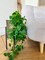 2pcs Artificial Hanging Plants Vines for Room Decor Fake Ivy Greenery Garlands for Patio Home Bedroom Wall Summer Decor